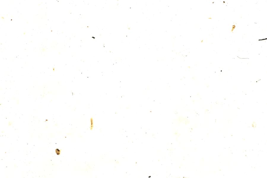 Image 185